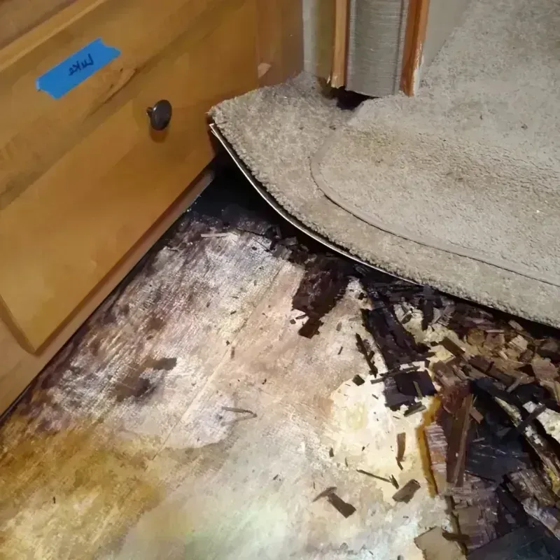 Wood Floor Water Damage in Roseburg, OR